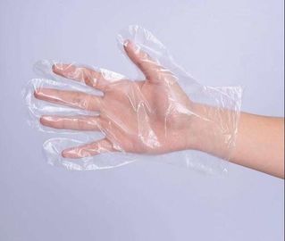 China Biodegradable Disposable Poly Gloves Plastic HDPE / LDPE With Embossed / Smooth Surface supplier